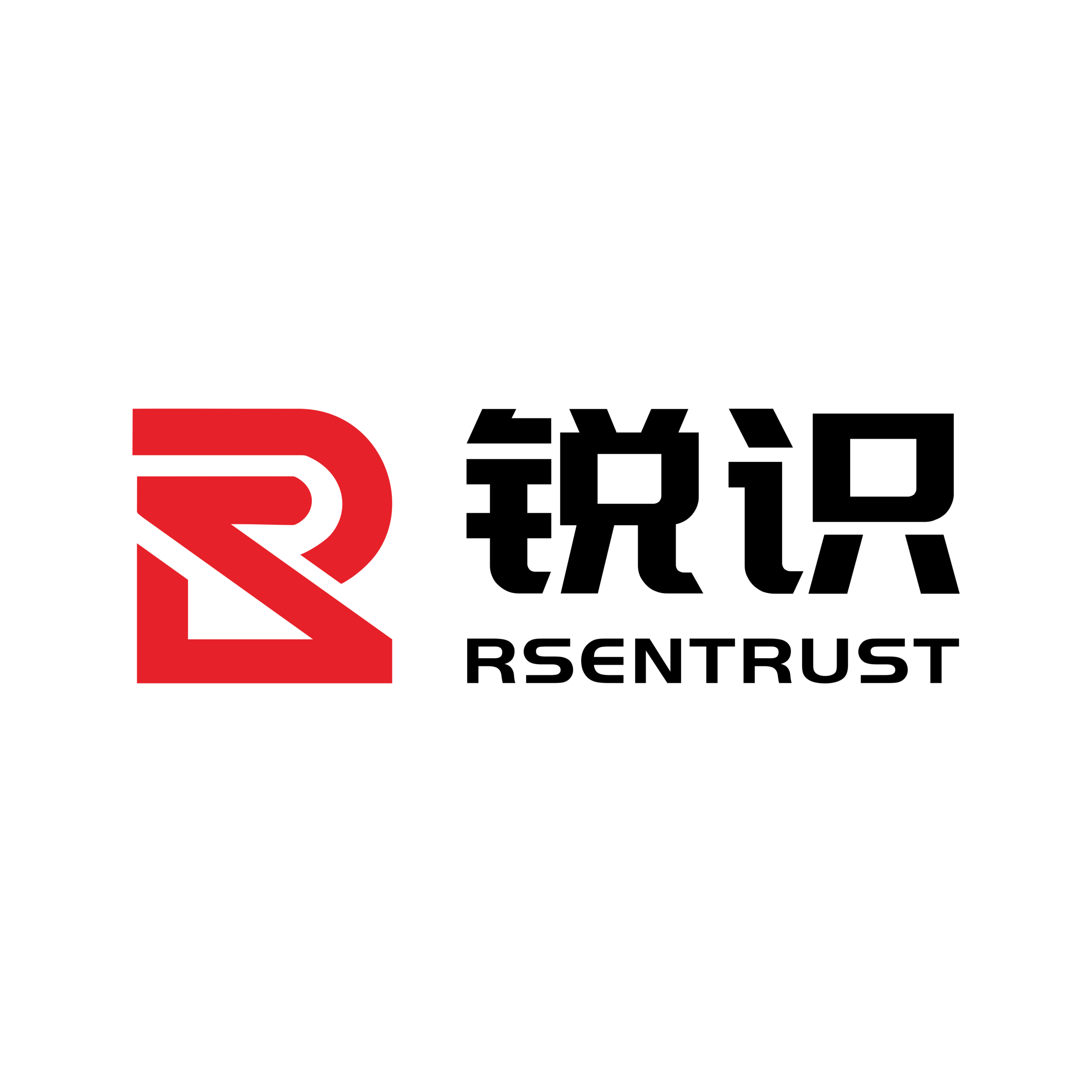 ruishi logo